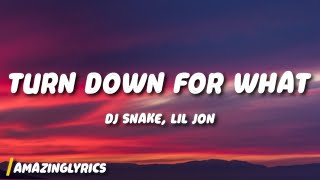 Download lagu DJ Snake, Lil Jon - Turn Down for What mp3