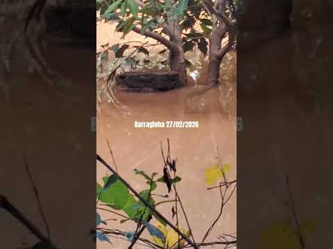 1 minuto. Captação de Água de Chuva. Abaeté MG #1minutoabaeté #águasdeabaeté