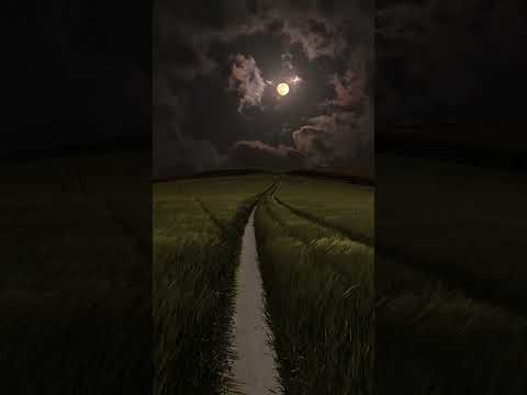 KEEP MOVING FORWARD!