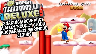 NSMBD RUFF RAGE! Snaking Above Mist Valley/Bouncy Cloud Boomerangs Maringue Clouds