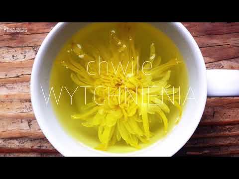 Moments of RESPIRATION: Find what you need now - Jolanta Berezowska