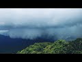 Rain Whatsapp Status ️ ️ ️ ️ ️ Rainforest Coorg Scotlandofindia