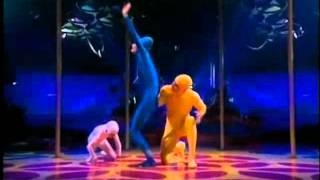 Cirque du Soleil   Saltimbanco