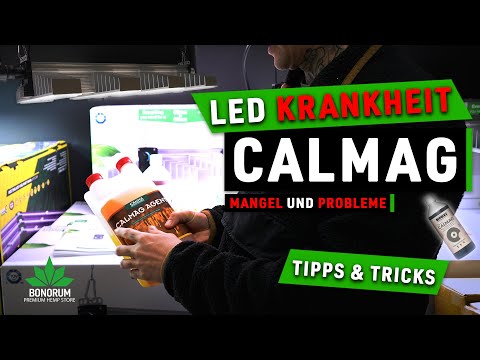 LED Krankheit und CalMag Mangel: So löst du das Problem – Freds Tipps und Strategien!