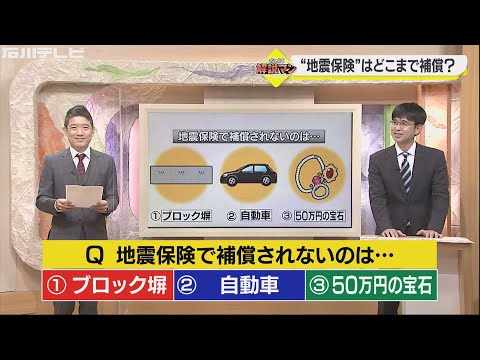 家庭用プールと庭の保険について知っておくべきことすべて  庭園