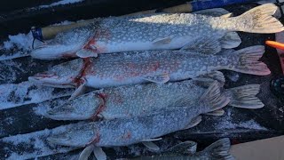 Рыбалка на озере курдо в молчаново форум