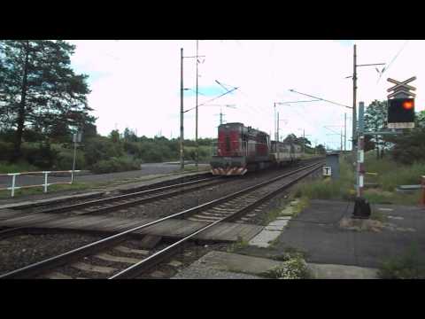 Příjezd a odjezd vlaku Os 7056 (ČD T466.2201, zpoždění 12 min) - Málkov, 12. 6. 2013