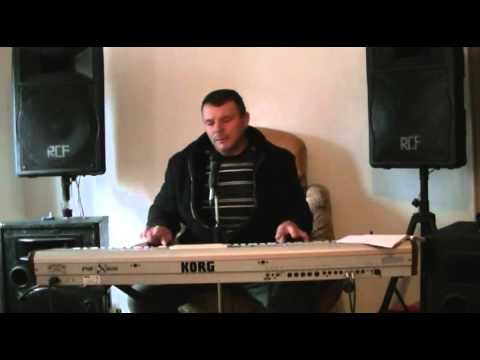 ,muzica de petrecere