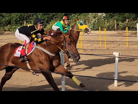 IV GP NATALINO FINAL - HARAS DIAMANTE 2022