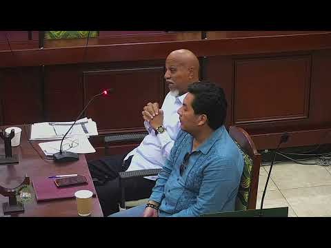 Former Lands Commissioner Vallejos Appears Before Senate Inquiry PT 1