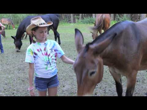 7 Lazy P Ranch Vacation 2013