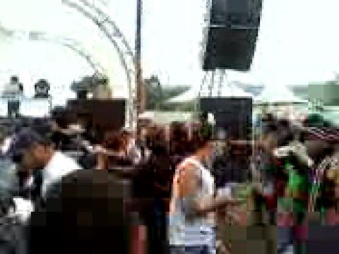 Dynamic Vs 220v Live