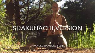 Wu-Tang Clan's C.R.E.A.M. - Shakuhachi (Japanese Bamboo Flute) - WESTWORLD S02 inspired