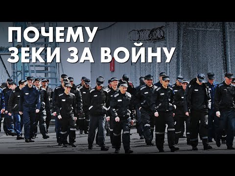 Почему воры в законе поддержали войну: исследование русскоязычного тюремного мира
