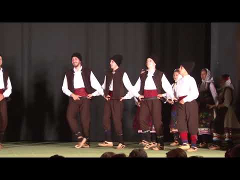 Godisnji koncert 2018