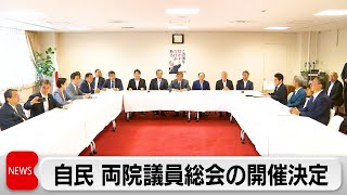 石破総理「逃げずに説明」自民党 両院議員総会の開催を決定