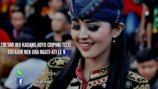 Download lagu Story Wa Jathilan!!!Kata-kata bhs.Jawa romantis mp3