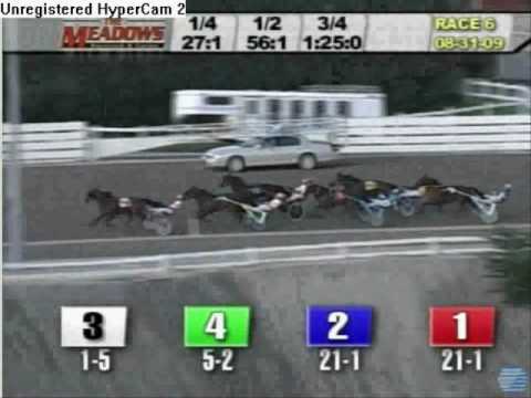Make easy money betting horses online!