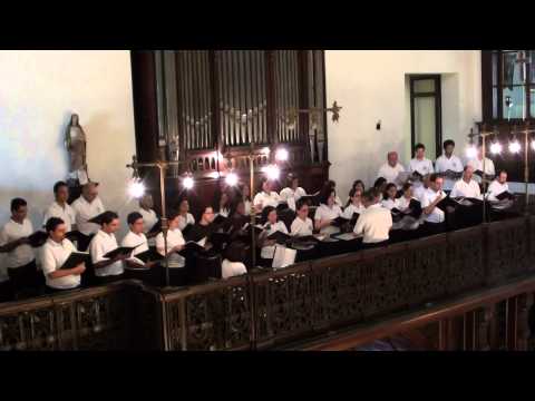 Senhor, tende piedade de nós - Missa do São Judas - Dom Bruno Gamberini - CATÓLICA