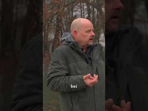 Zoos im Wandel: Moderne Relevanz oder Auslaufmodell?