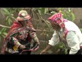 Fairtrade Not Benefiting The Poor