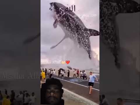 masa allah #Alla hu Akbar 🕋😭😭😭🤲 subscribe me