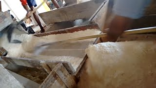 Produção de farinha