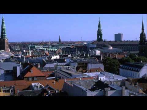 Hedegaard - Copenhagen On Acid (Afrojack vs. Rune Rk Bootleg)