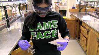 1. Great Expectations | ChemLab Boot Camp