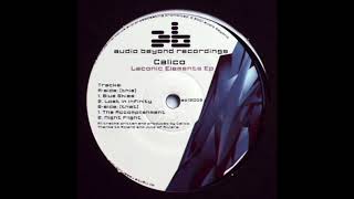 Calico - Night Flight