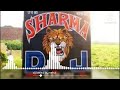 Sharma DJ Sound Singholi Kallu Vibration Edm Trance