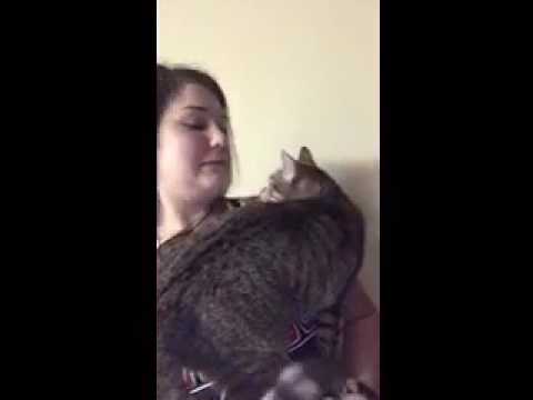 Sisters cat Mary Kate