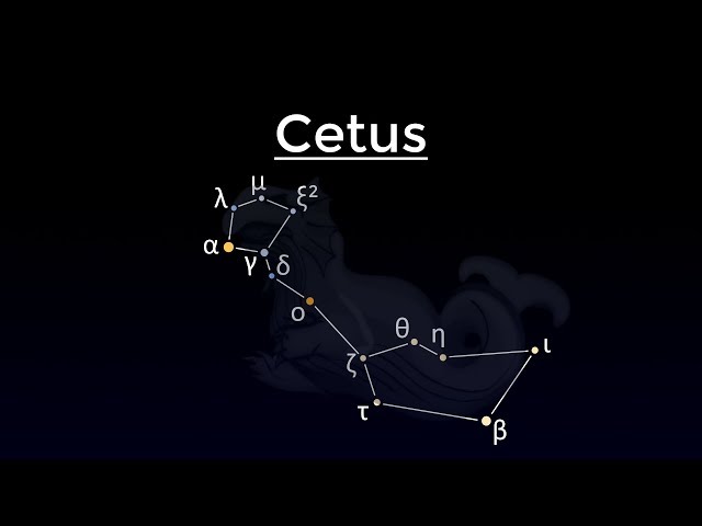 Video Pronunciation of megapenthes in English Video Pronunciation of megapenthes in English