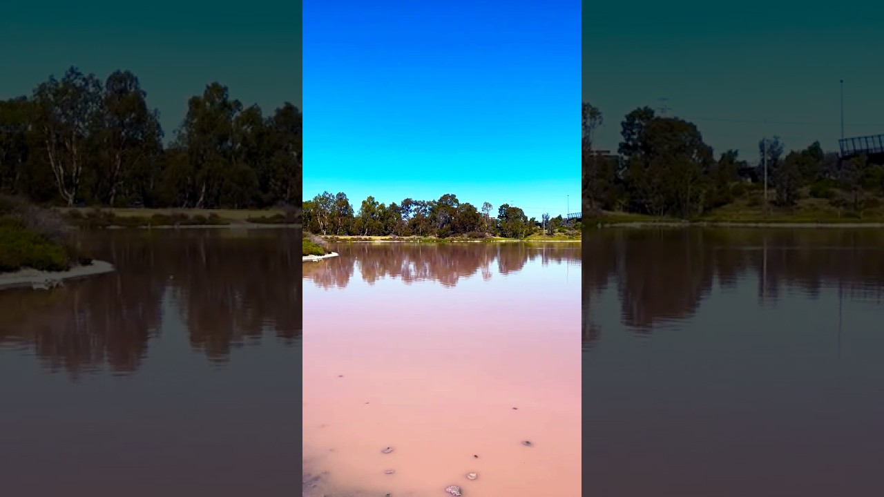 YouTube Short thumbnail