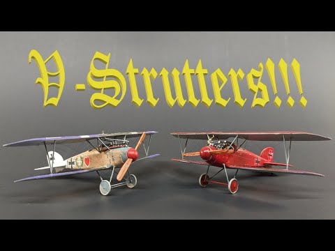 Is Roden's Albatros Diii REALLY worth the effort?