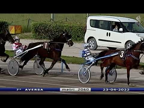 Aversa trotto 23 Aprile 2022 - 7° Corsa