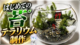 【#苔テラリウム /#雑談】 はじめての苔テラリウム制作