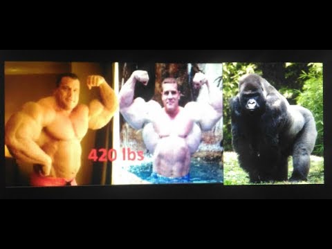 The bodybuilder who weighed 5 kg less than a gorilla: Greg Kovacs