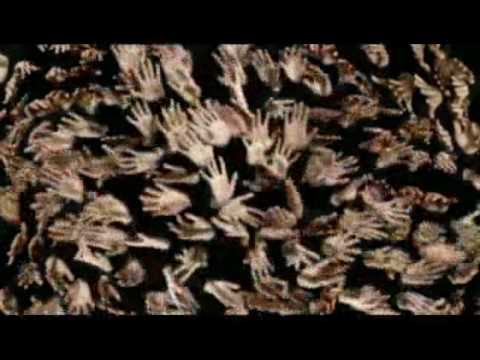 Vaseline Intensive Care TVC