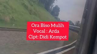 Download lagu Story WA Ora biso mulih by Arda mp3