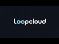Using DRUM PLAY - Loopcloud 6 Part 1
