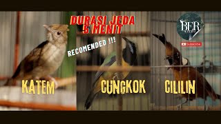 Download lagu DIJAMIN CEPAT GAMPANG MASUK❗️DURASI JEDA 5 MENIT GANTI MATERI❗️KATEM CUNGKOK CILILIN ADU TEMBAKAN mp3 Download lagu DIJAMIN CEPAT GAMPANG MASUK❗️DURASI JEDA 5 MENIT GANTI MATERI❗️KATEM CUNGKOK CILILIN ADU TEMBAKAN mp3