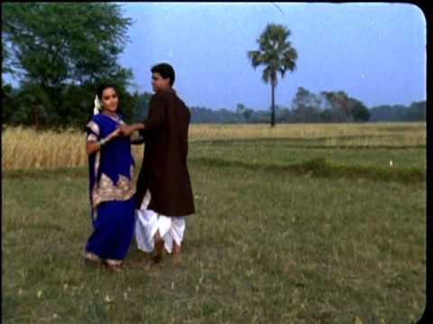 Vineet Yadav portfolio video8