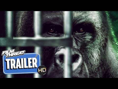HARAMBE | Official HD Trailer (2023) | DOCUMENTARY | Film Threat Trailers