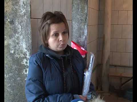 В курском общежитии из-за протекающей кровли этажи покрылся плесенью