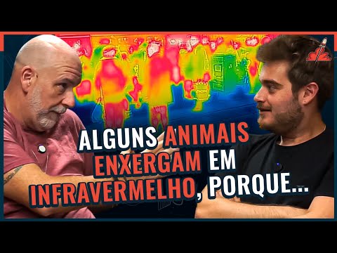 O PODER SENSORIAL que HUMANOS NÃO TÊM