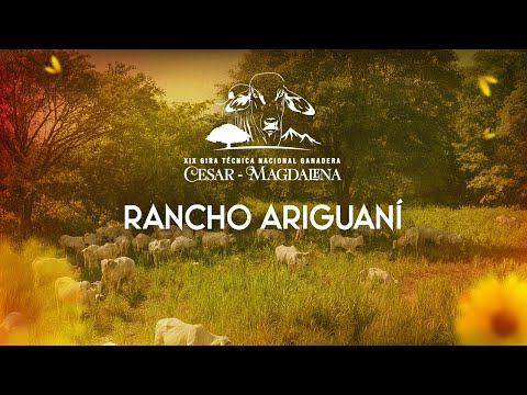 Rancho Ariguaní (Gira Ganadera Cesar - Magdalena)