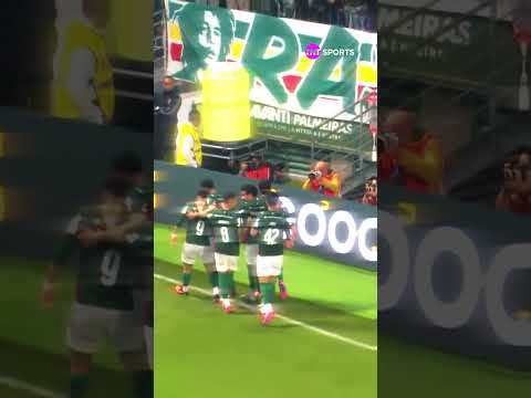 OLHA O GOL QUE COLOCOU O PALMEIRAS NA LIDERANÇA DO BRASILEIRÃO! #shorts