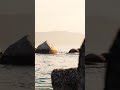 Depth Nature Nature Whatsapp Status Beach Nature Beach Sea Seaside