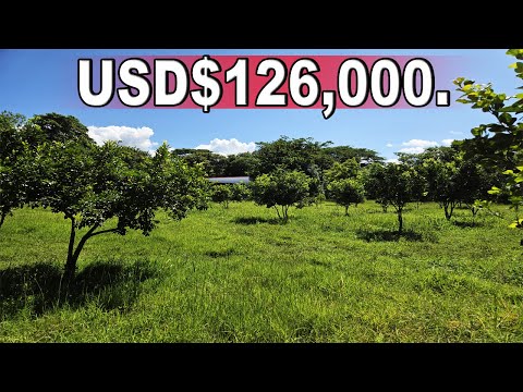 3.45-Acre Country House in Granada | A further 8.75 Acres of Land for Sale!